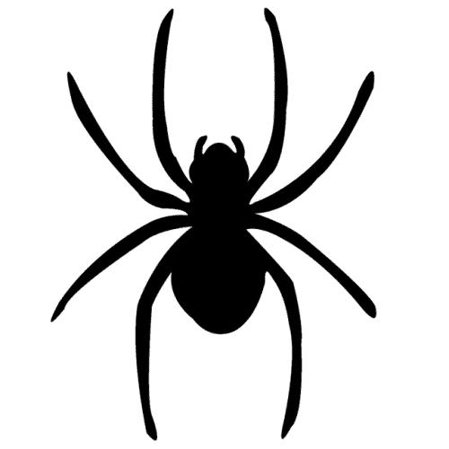 spider icon